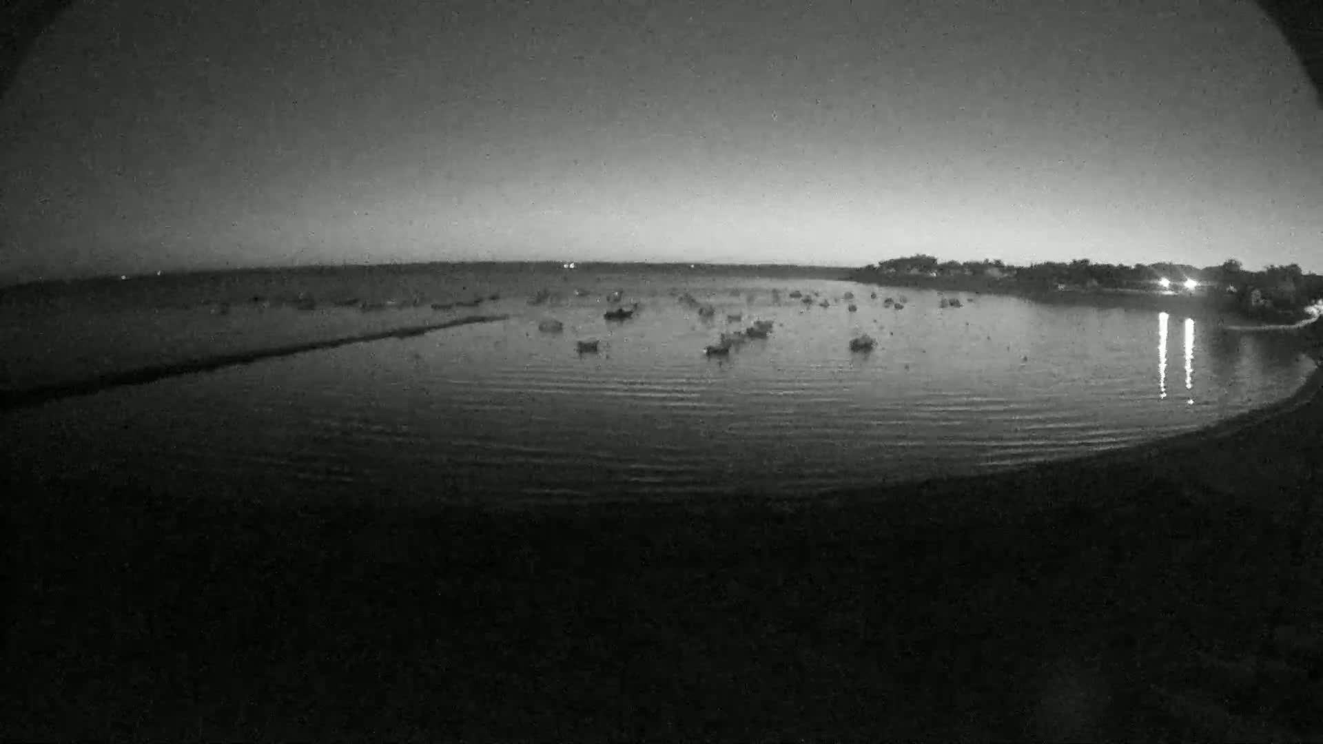 Mesquer , Plage de Lanseria Beach Live Cam - Saint-Nazaire, Loire-Atlantique, Pays de la Loire, France