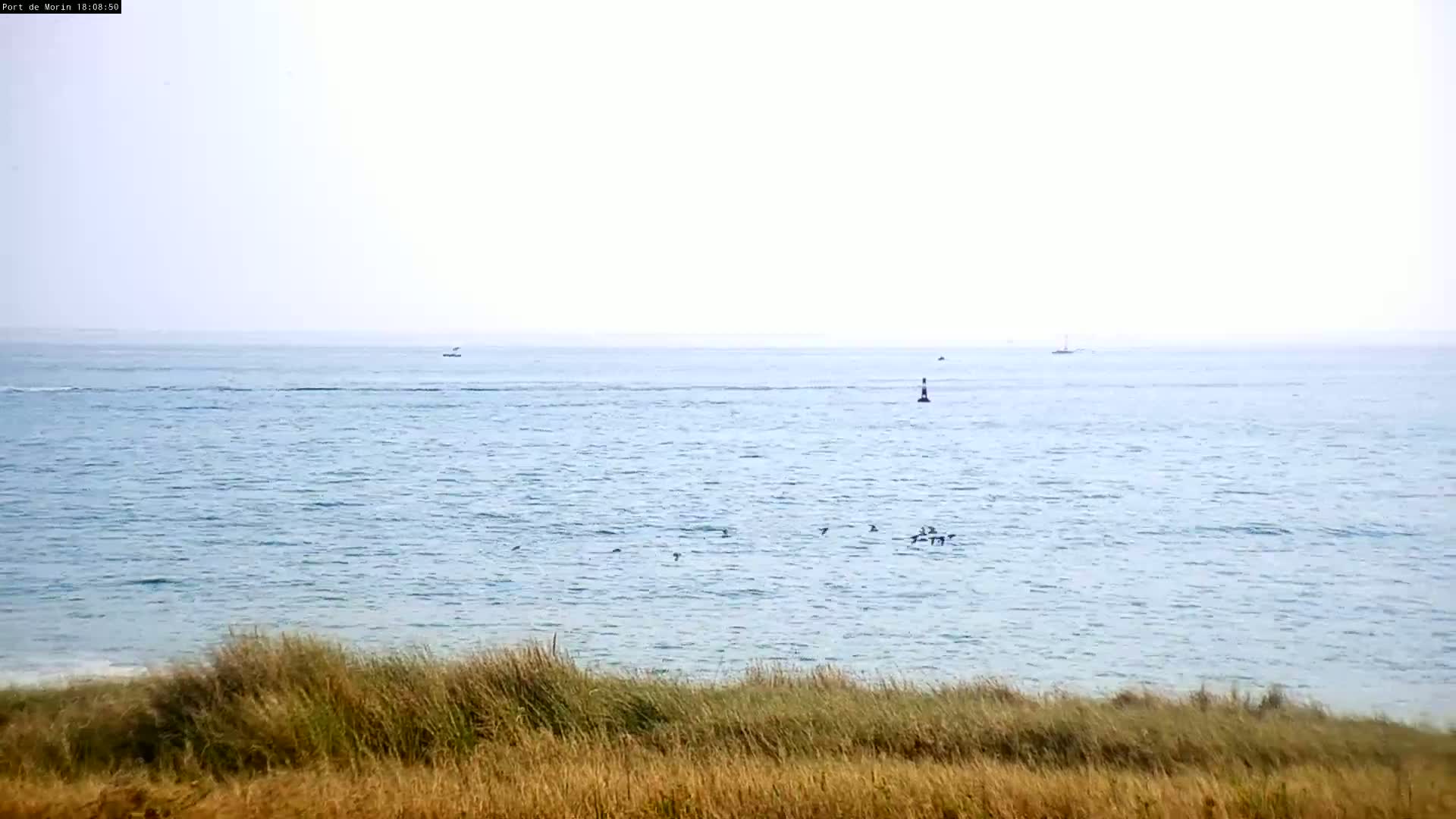  Mesquer , Plage de Lanseria Beach Live Cam - Saint-Nazaire, Loire-Atlantique, Pays de la Loire, France