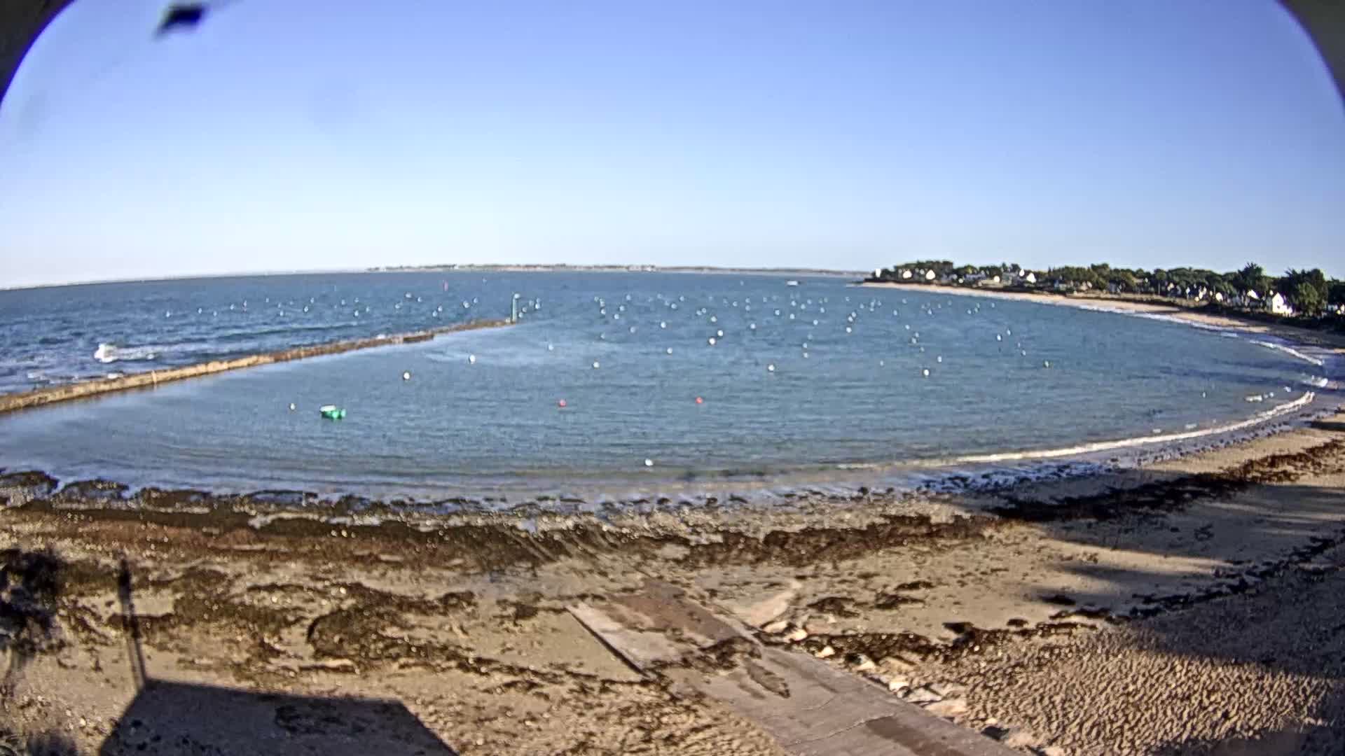A sunny day illuminates a tranquil bay filled with numerous buoys, a sandy beach covered with some seaweed, a boat ramp leading to the water, and a distant tree-lined shore featuring scattered houses.