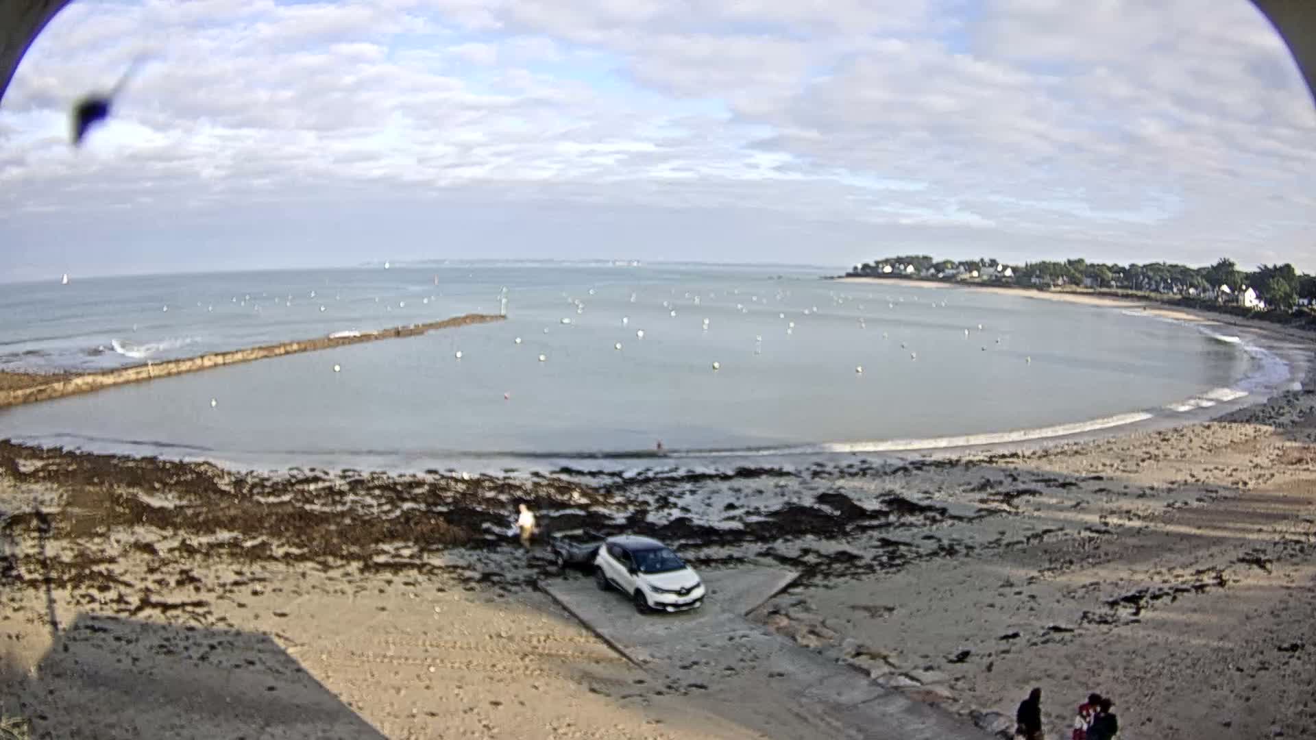 A sunny day illuminates a tranquil bay filled with numerous buoys, a sandy beach covered with some seaweed, a boat ramp leading to the water, and a distant tree-lined shore featuring scattered houses.