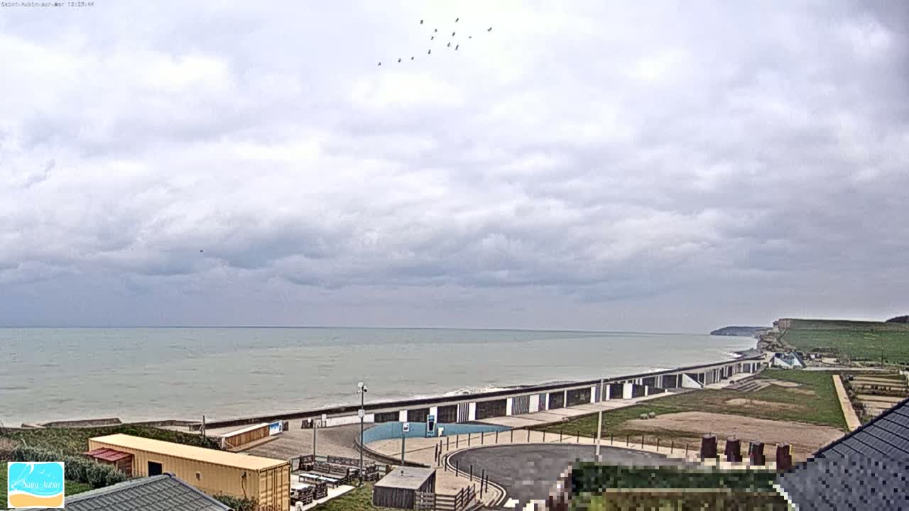 A flock of birds flies over a calm, gray sea next to a beach with white buildings and green grassy areas, under a mostly cloudy sky.