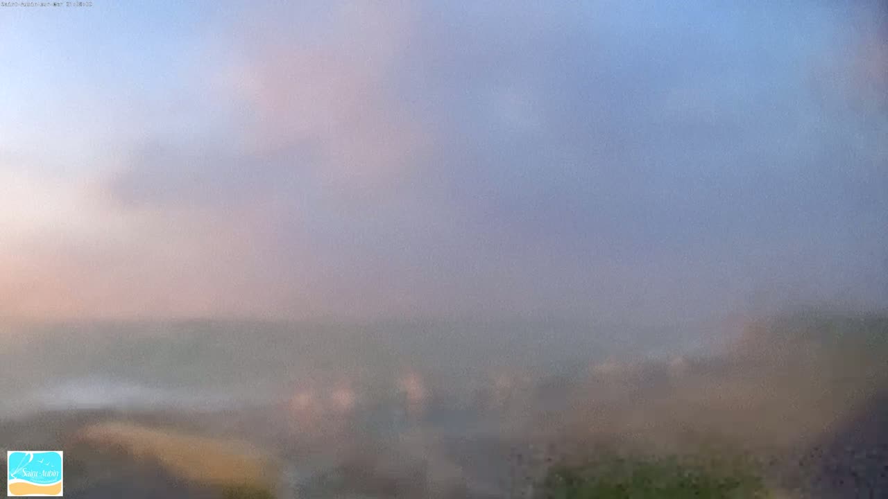 A hazy, muted landscape is visible under a pale, overcast sky.