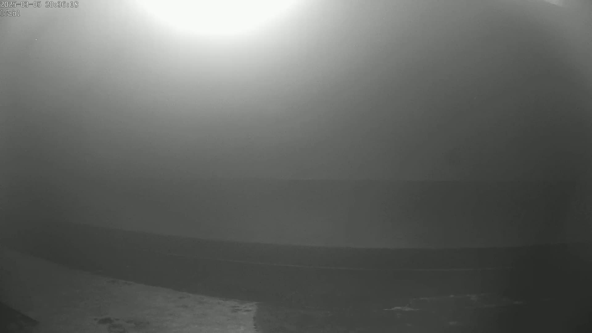 A hazy, dark grayscale image shows a body of water under an overcast sky.