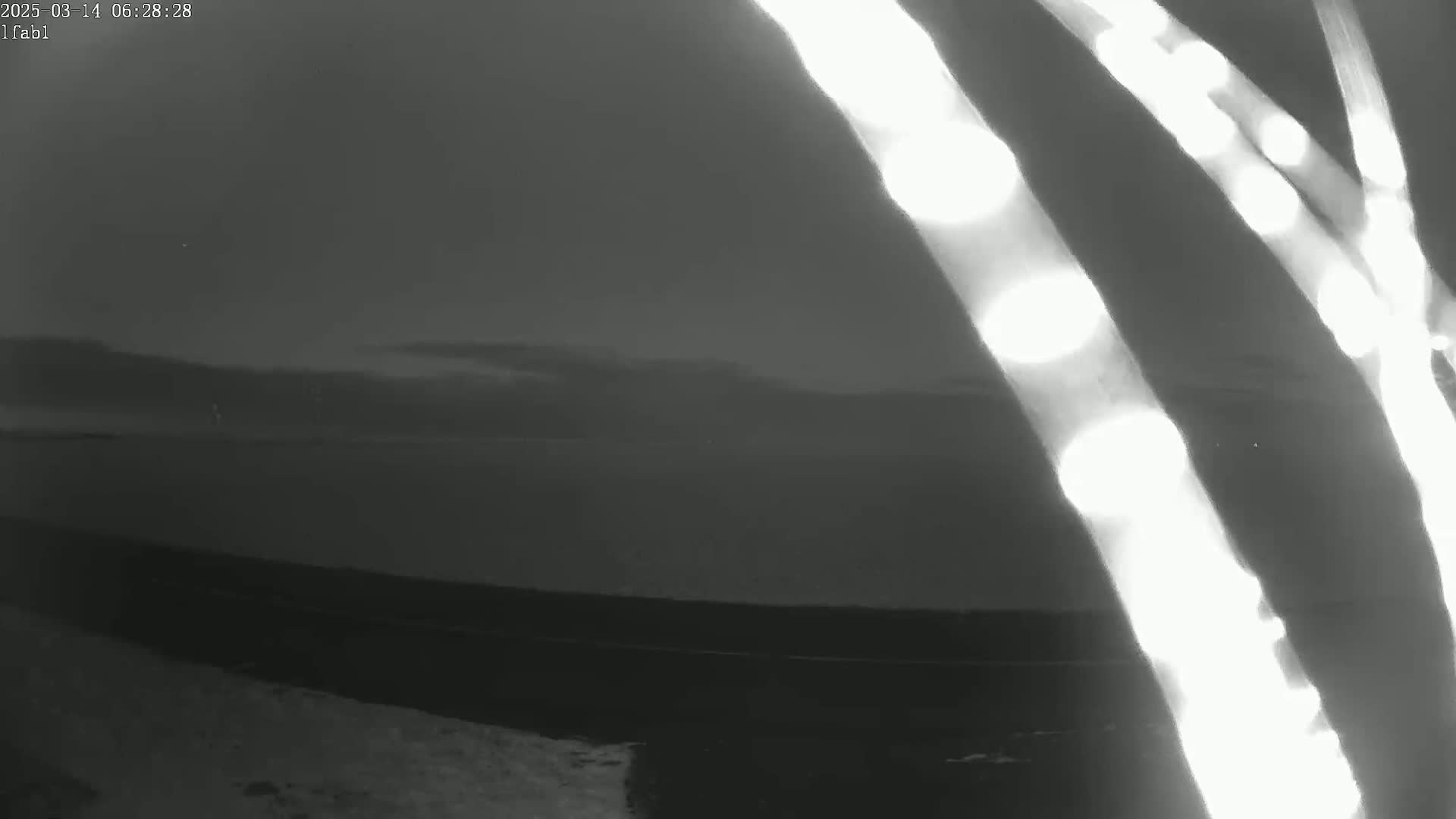 A dark, blurry landscape is visible through brightly lit, out-of-focus vertical lines, possibly branches, under a dim, possibly pre-dawn sky.
