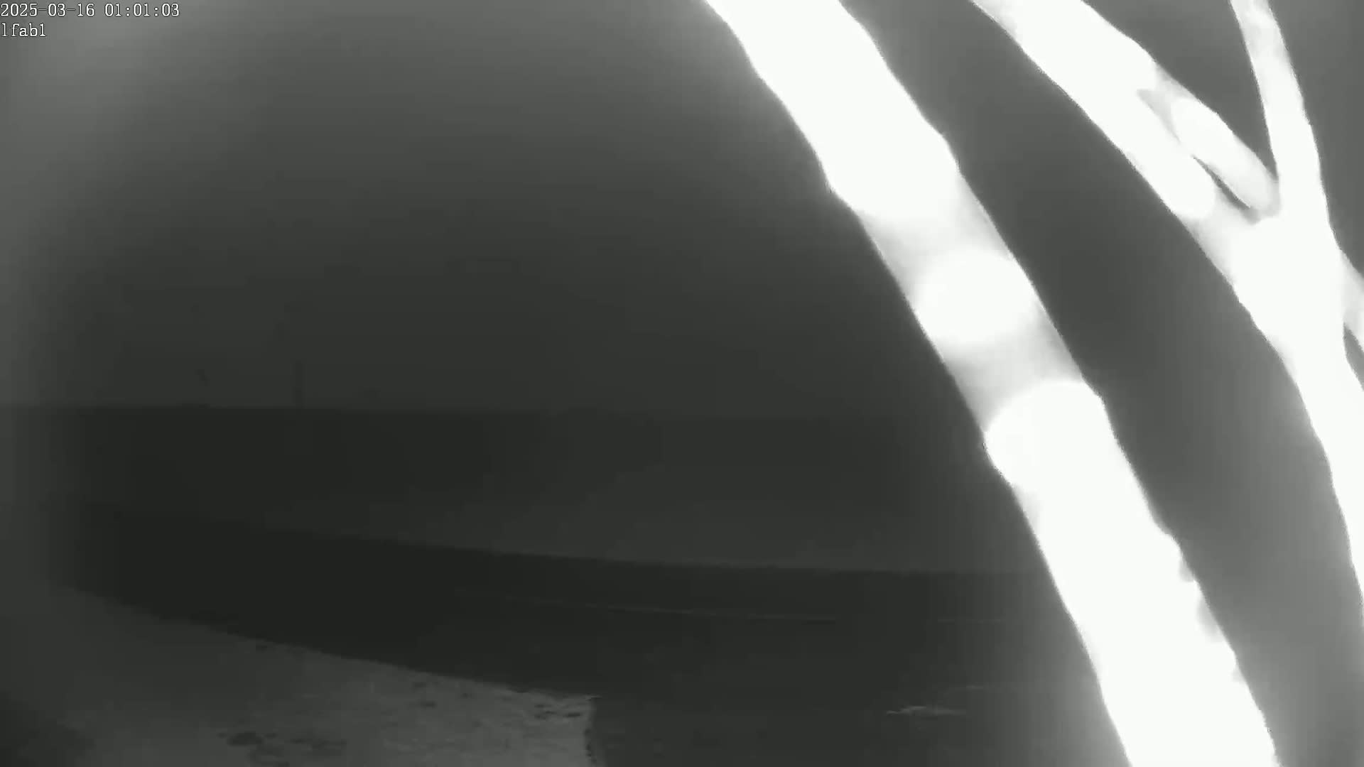 A nighttime, low-light image shows bright, blurry vertical streaks of light against a dark, indistinct background that appears to be outdoors.