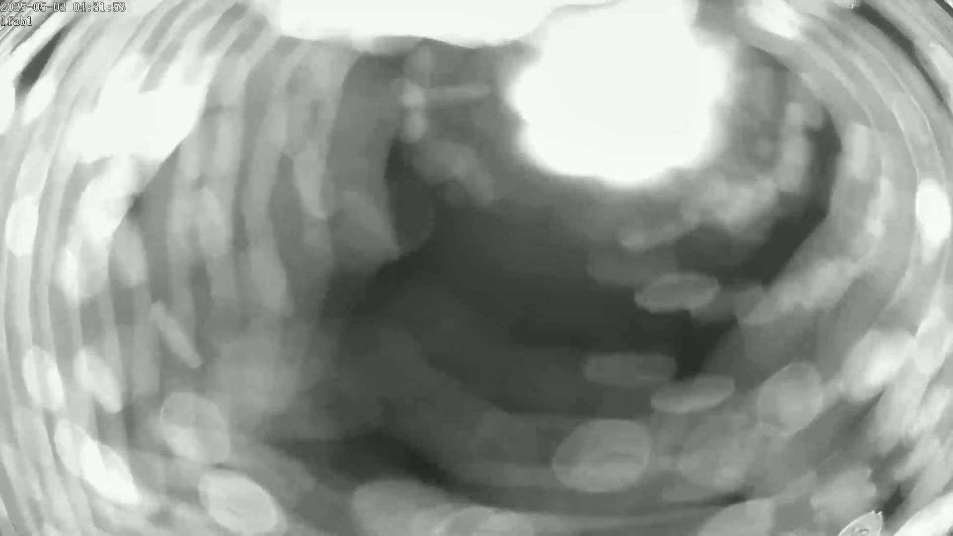 A blurry, grayscale image shows a swirling, out-of-focus pattern of light and dark areas.
