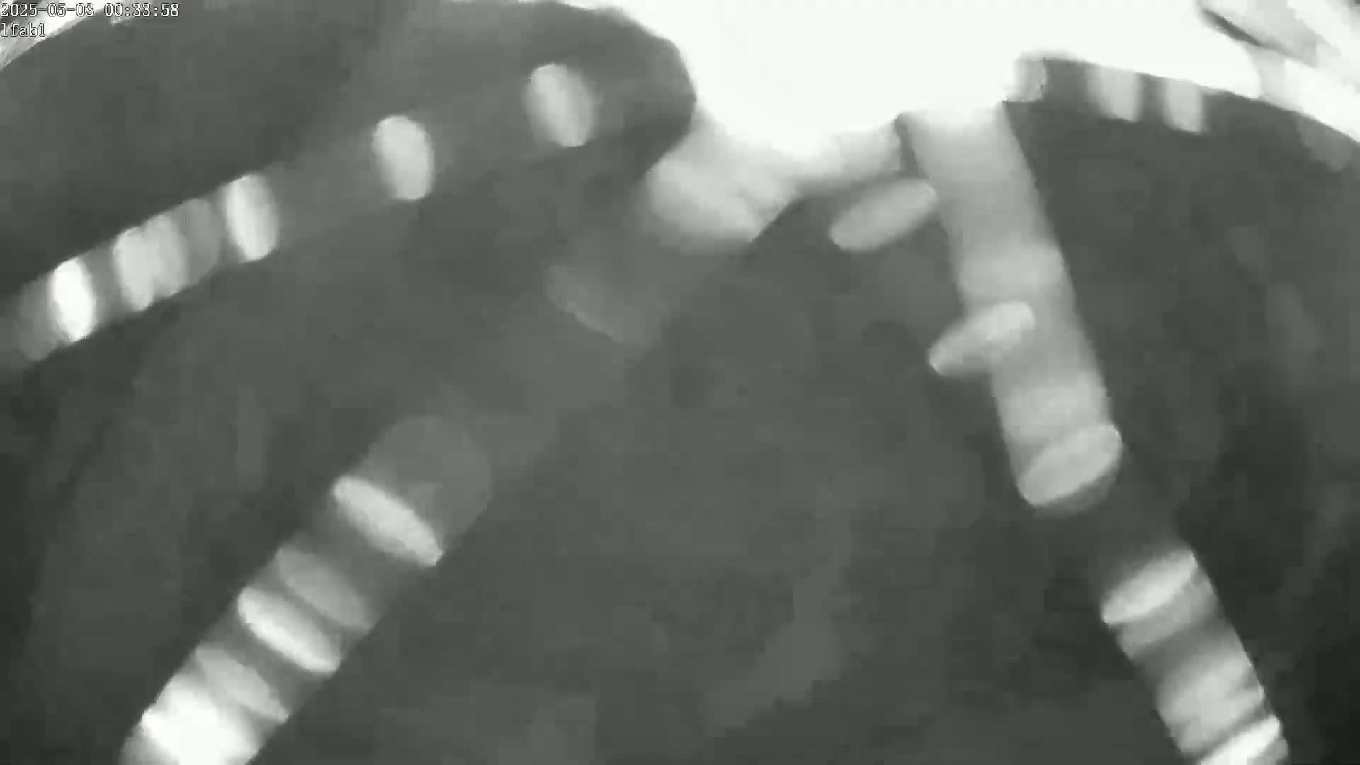 A blurry, grayscale image shows an indistinct object, possibly a person, with streaks of light suggesting motion blur.