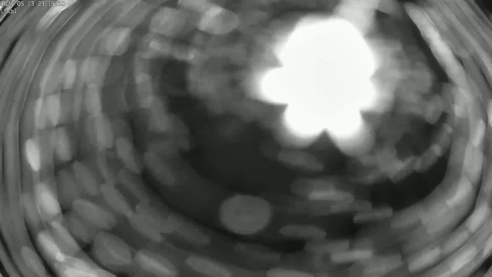 A bright, blurry light source is surrounded by concentric circles of darker, out-of-focus shapes.