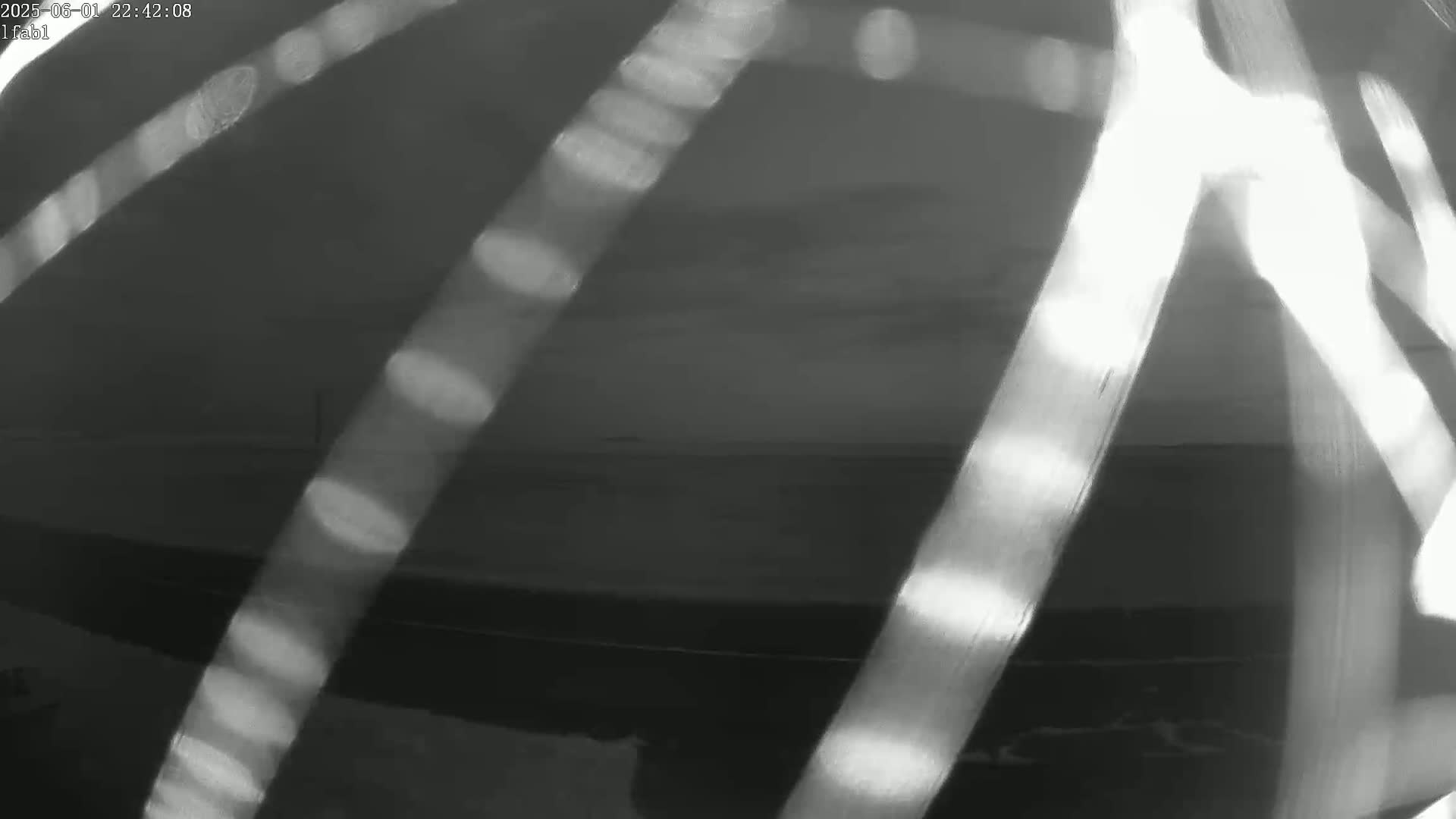 A blurry, grayscale image shows bright streaks of light overlaying a dark, possibly coastal scene under a mostly clear sky.