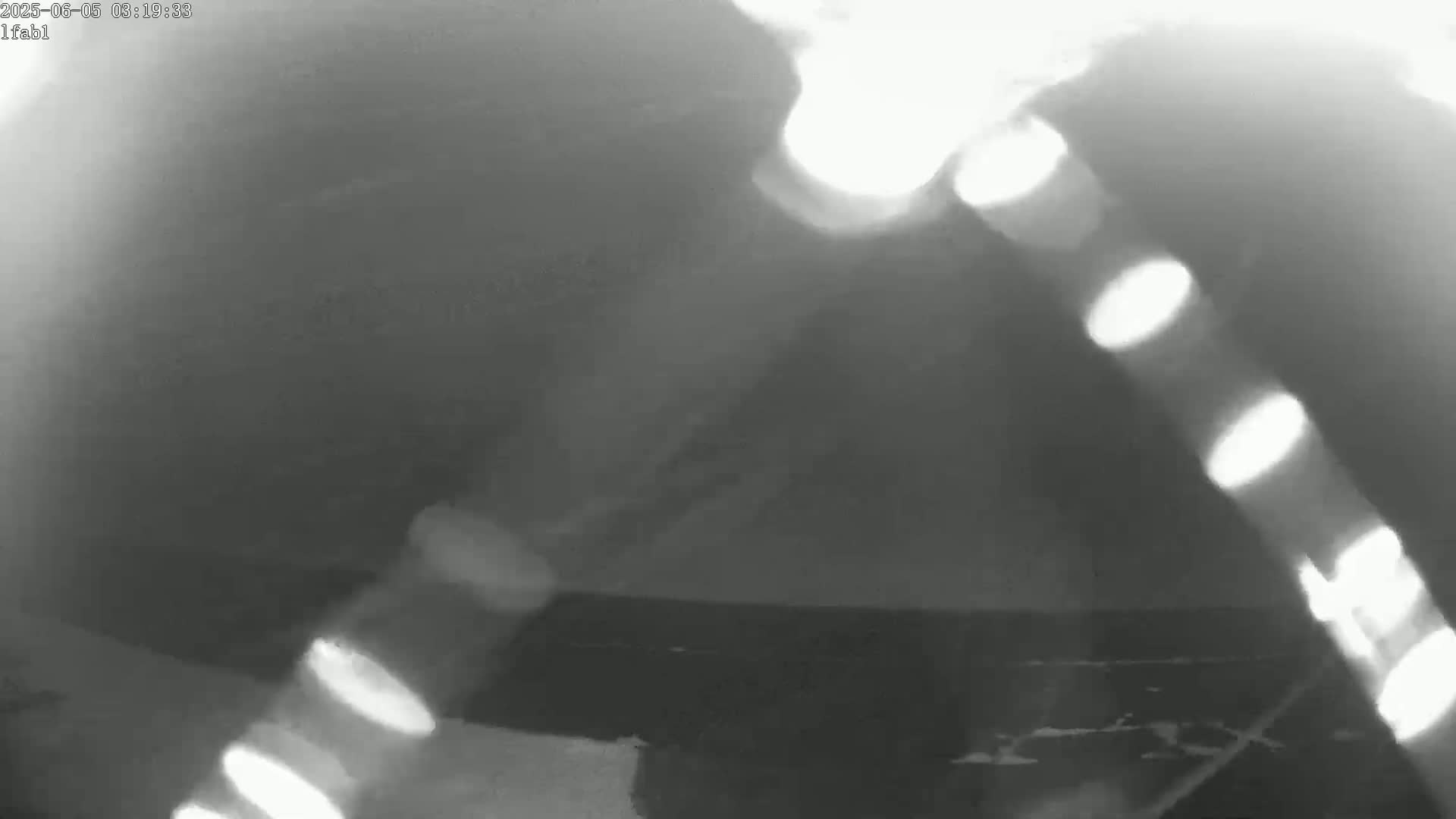A blurry grayscale image shows a dark, possibly nighttime, outdoor scene with bright light streaks suggesting motion blur from a camera or other light source.