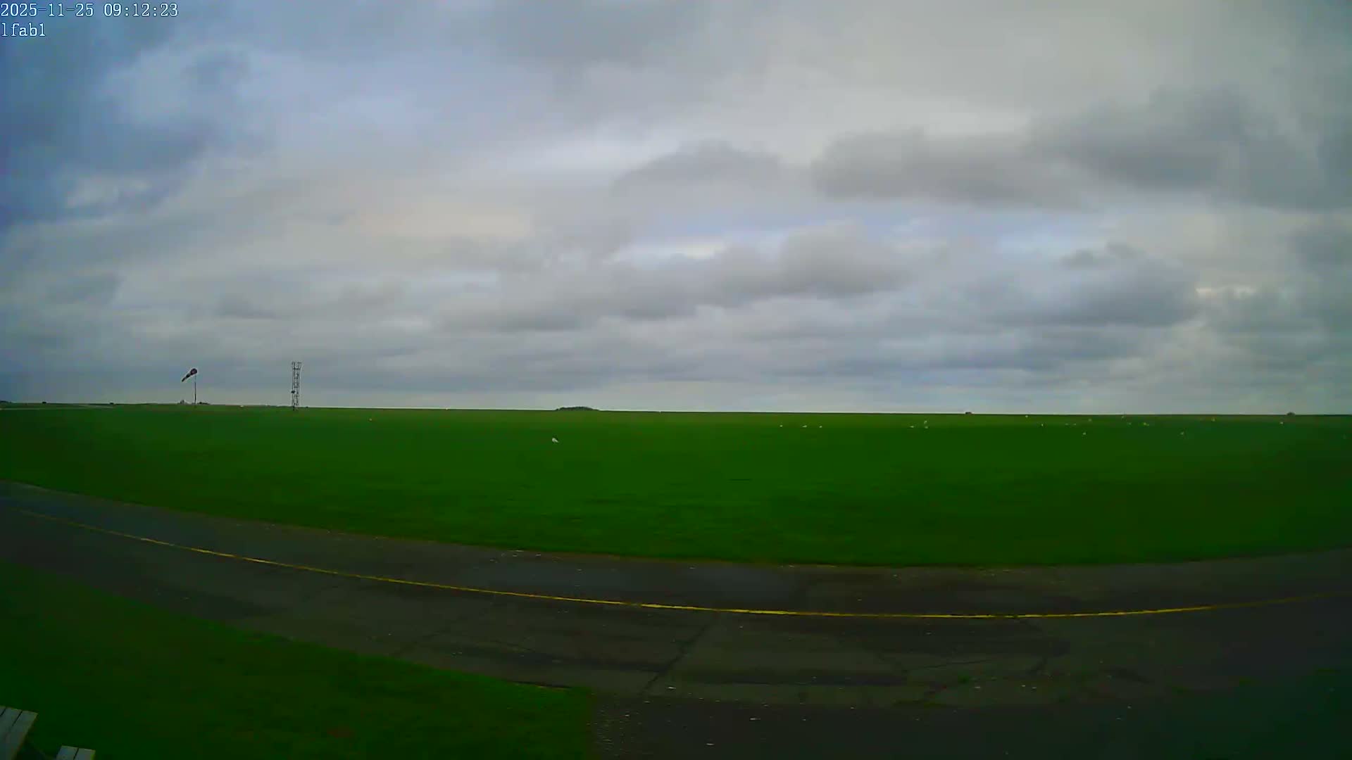 A wide, flat green field, possibly an airfield, lies under a heavily overcast sky, featuring an asphalt path in the foreground, a windsock and a metal tower in the mid-ground, and several white birds scattered across the distant grass.