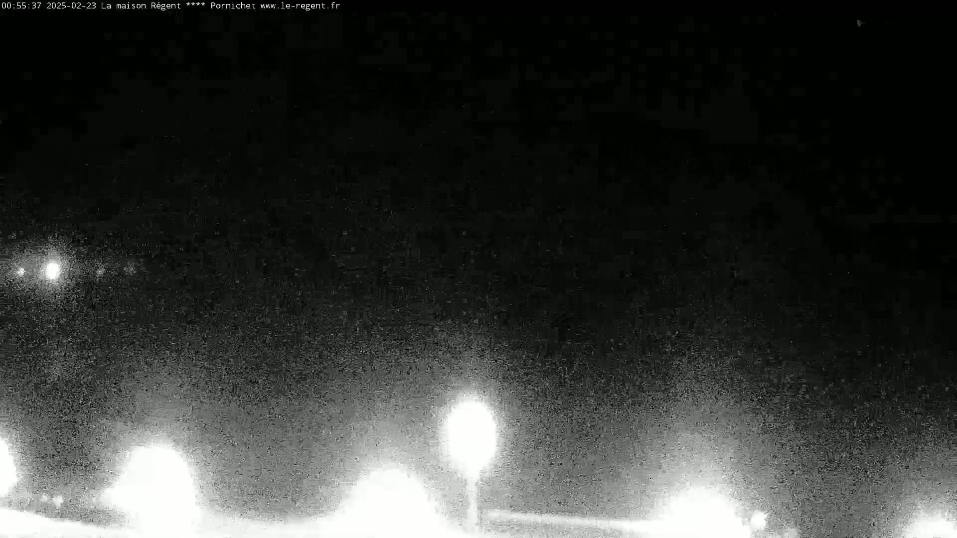 A nighttime, grainy, low-light image shows a road with a few bright lights visible in the distance.