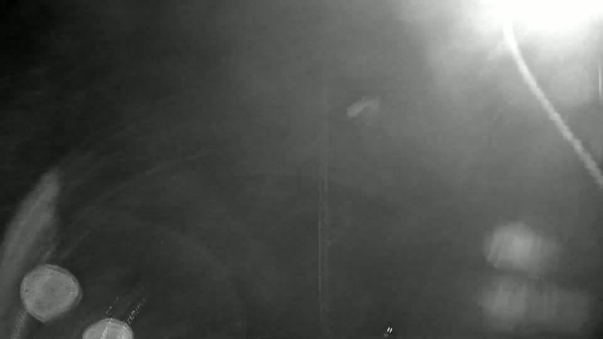 A blurry, dark grayscale image shows bright light sources and out-of-focus shapes in foggy or smoky conditions.