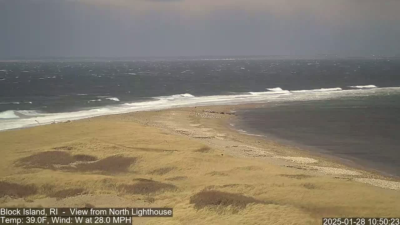 A sandy beach and dune landscape meet a windy, wavy ocean under an overcast sky.