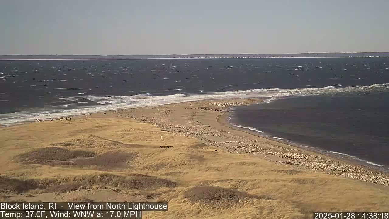 A sandy beach and dune landscape meet a choppy ocean with waves under a windy, clear sky.