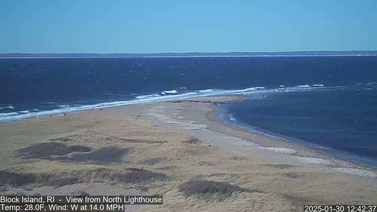 A sandy beach with a group of seals near a point of land juts into a choppy ocean under a clear blue sky.