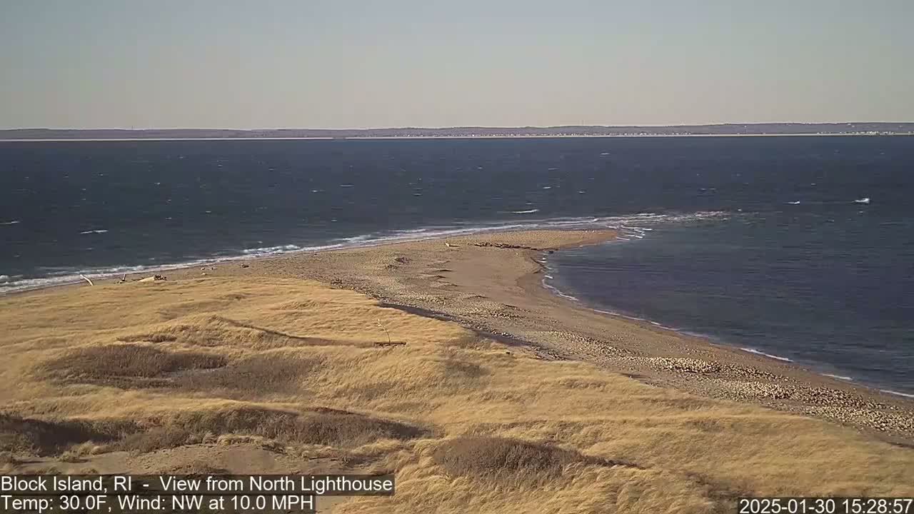 A sandy beach curves into a windy ocean under a clear sky, with tall grasses covering the dunes.