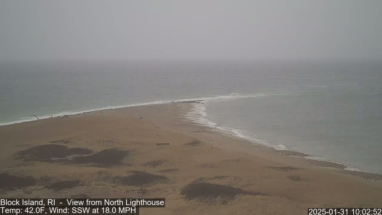 A sandy beach and ocean meet under an overcast, foggy sky with a moderate south-southwesterly wind.