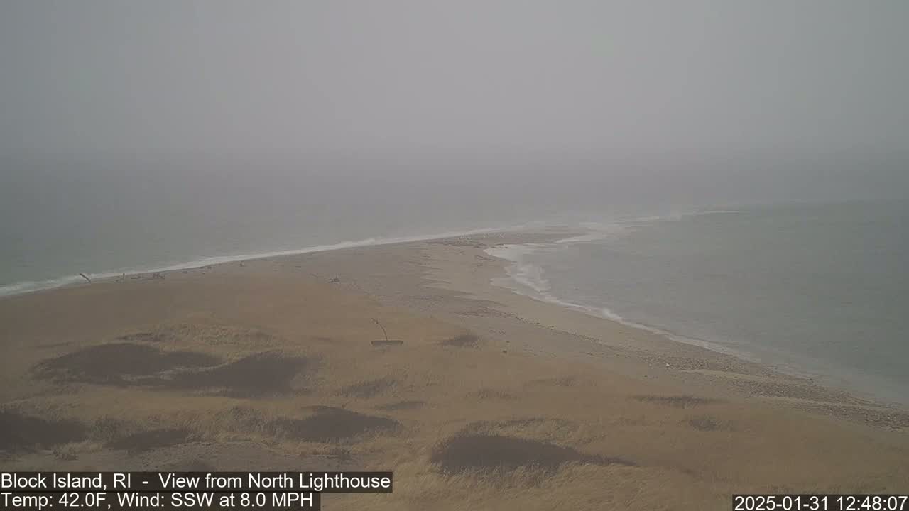 A foggy beach scene shows a sandy shoreline meeting a gray ocean under an overcast sky.