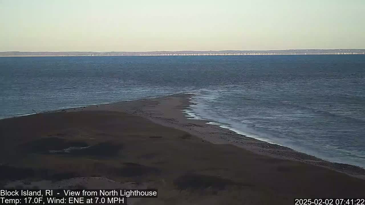 A dark, sandy shoreline meets a calm, dark-blue ocean under a pale sky.