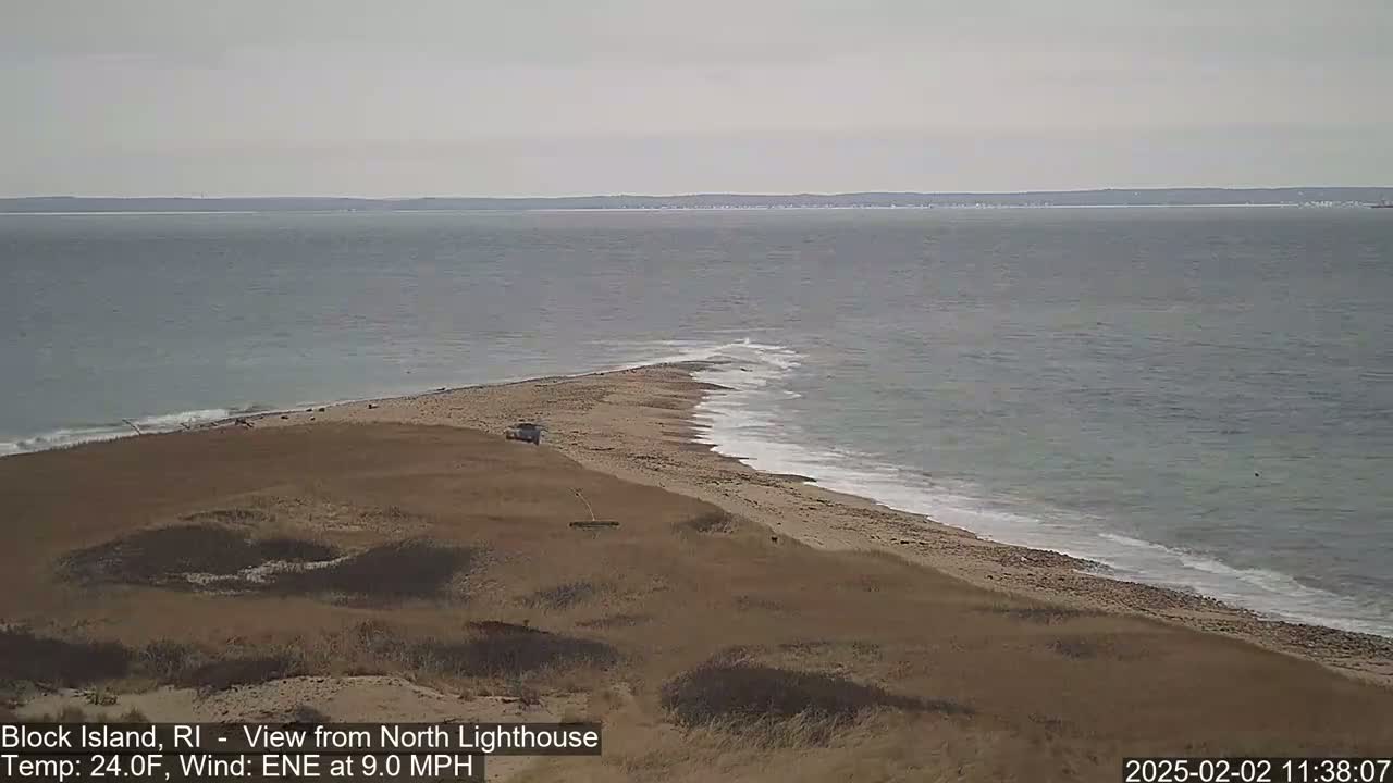 A sandy beach and grassy dunes meet a calm ocean under an overcast sky.