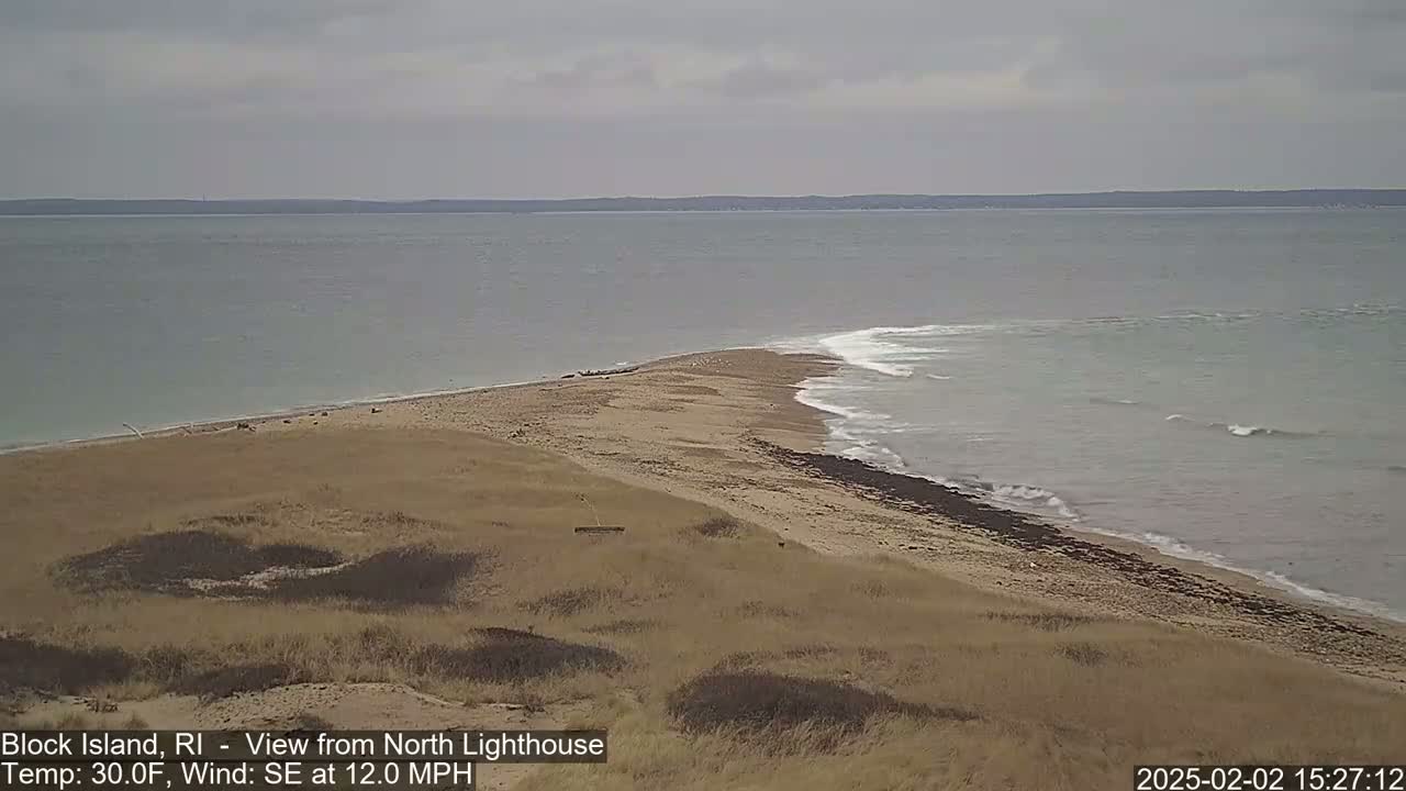 A sandy beach and grassy dunes meet a calm ocean with small waves under an overcast sky.