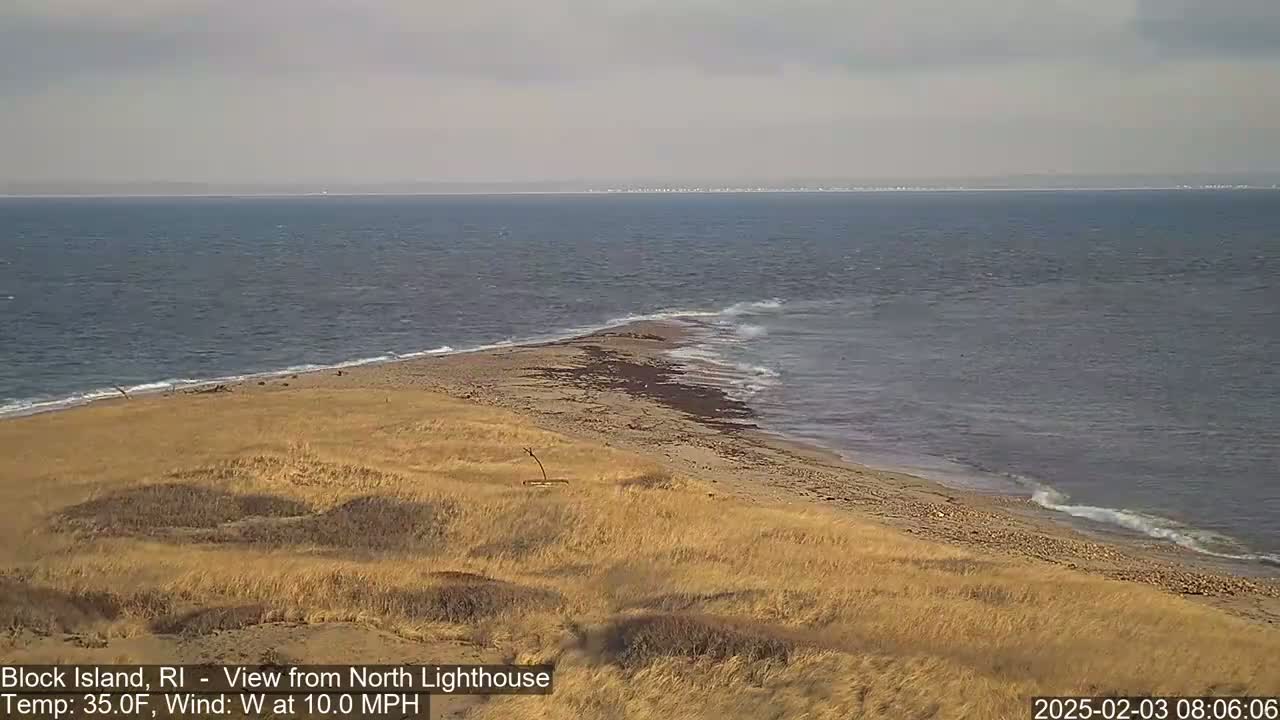 A sandy beach and grassy dunes meet a choppy ocean under a cloudy sky.