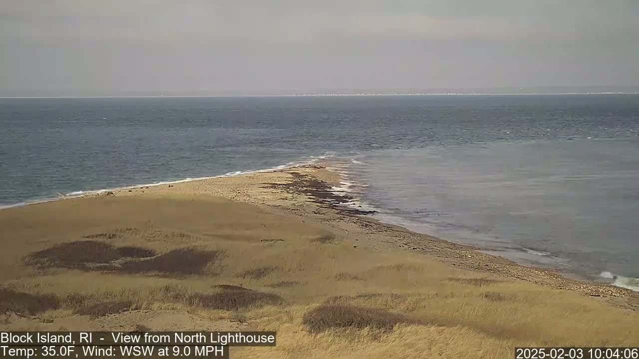 A sandy beach and calm ocean are visible from a dune-covered vantage point, under an overcast sky.