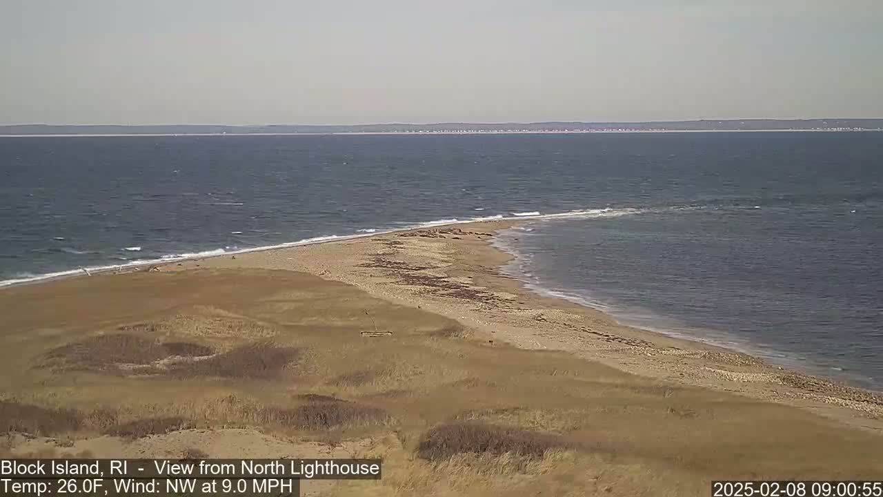 A sandy beach and dune landscape meet a choppy ocean under a clear sky.
