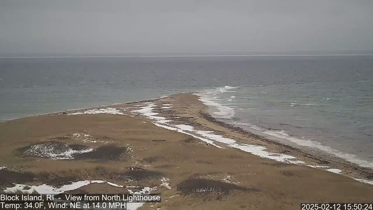 A coastal scene shows a sandy shoreline with patches of snow under a gray sky, with a northeast wind blowing at 14 mph.