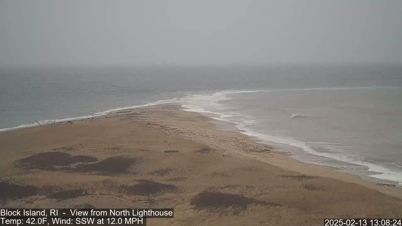A hazy, overcast day shows a sandy beach meeting a calm ocean with small waves, a few birds are visible on the sand.