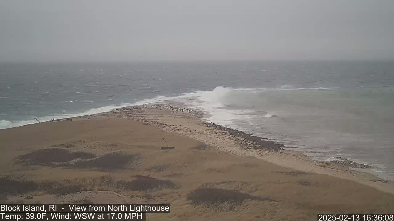 A sandy beach with a flock of birds meets a choppy ocean under an overcast sky.
