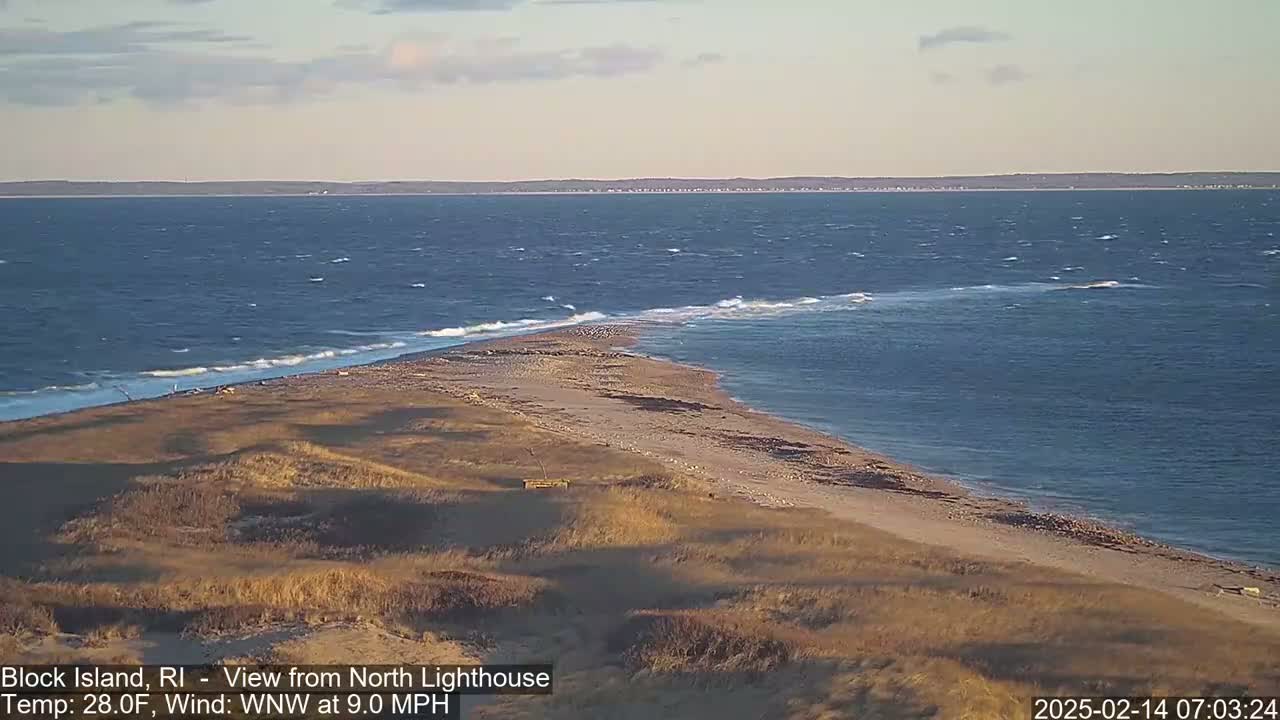 A sandy beach and grassy dunes meet a windy ocean with small waves.