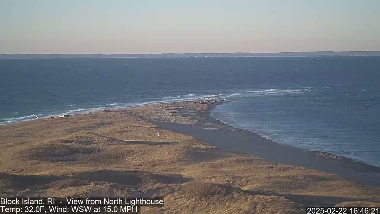 A sandy beach and grassy dunes meet a calm ocean with small waves under a clear sky.