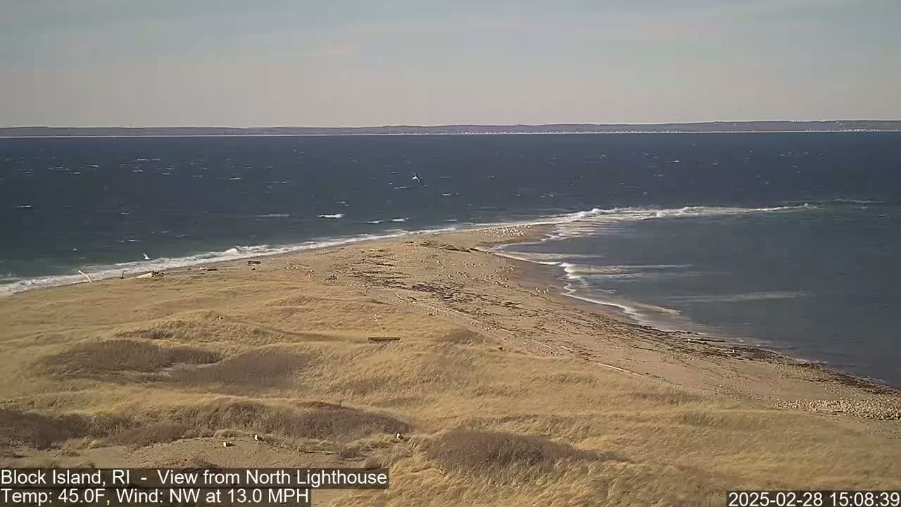 A sandy beach with a shoreline curving into a point, sparsely populated with birds, under a partly cloudy sky with a northwest wind of 13 mph and a temperature of 45°F.