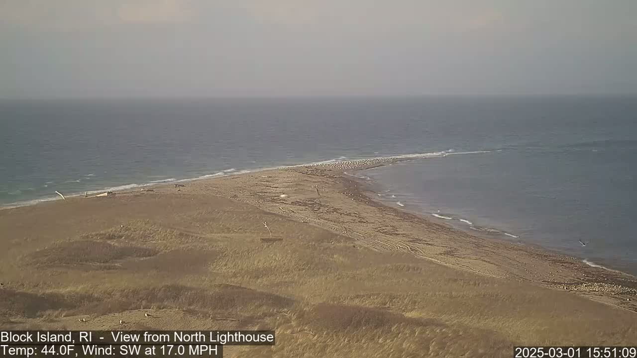 A sandy beach and coastline with a large flock of birds, under overcast skies and with a southwest wind at 17 mph.