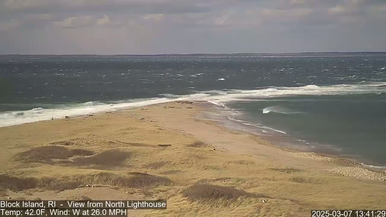 A sandy, windswept beach and dune landscape meets a choppy ocean under a cloudy sky.