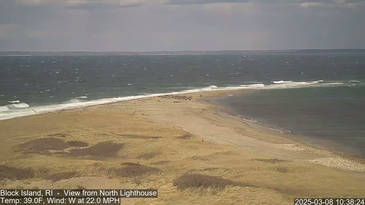 A sandy beach and grassy dunes meet a choppy ocean under a cloudy sky.