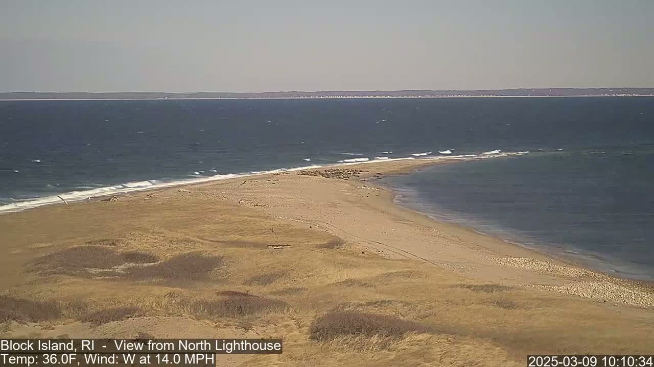 A sandy beach with a group of seals stretches into a calm, dark-blue ocean under a clear sky, with a 14 mph westerly wind.