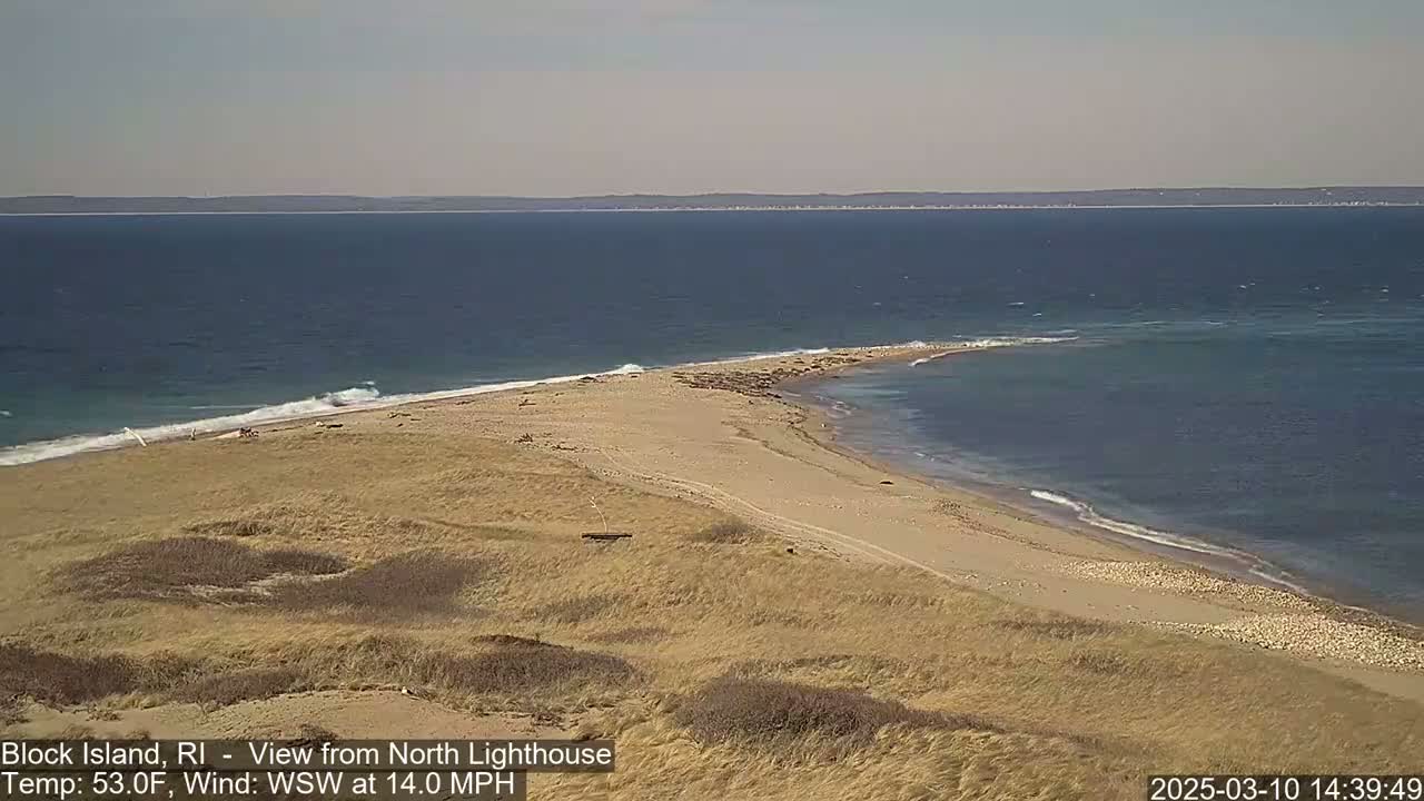 A sandy beach and grassy dunes meet a calm ocean under a clear sky.