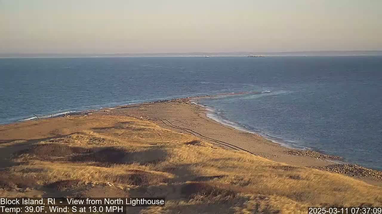 A sandy beach curves into a calm ocean under a clear sky, with dry, tan grasses on the elevated land.