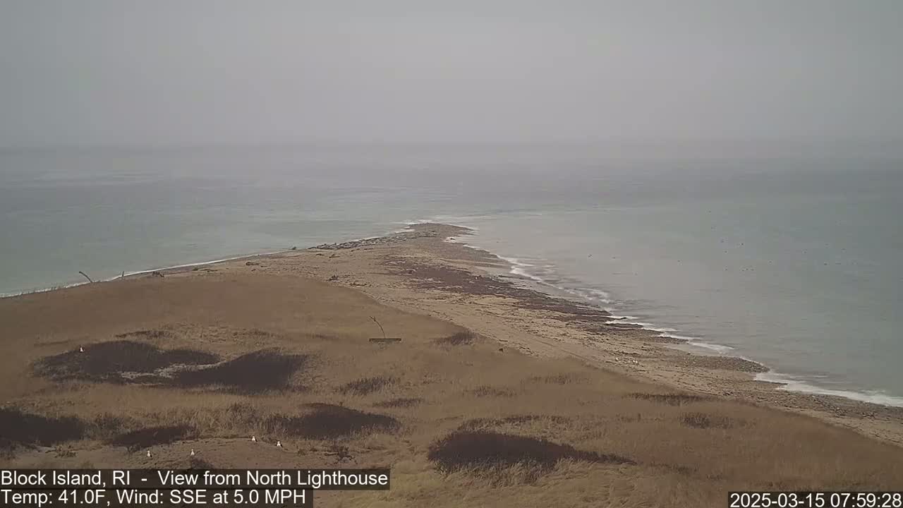 A hazy, coastal scene shows a sandy beach meeting a calm ocean under an overcast sky.