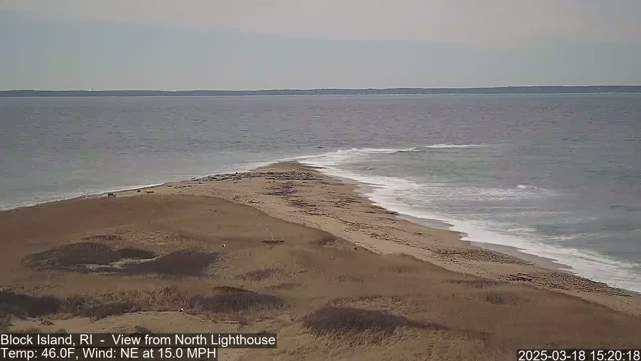 A sandy beach with a grassy dune meets a gray ocean with small waves under a mostly cloudy sky.