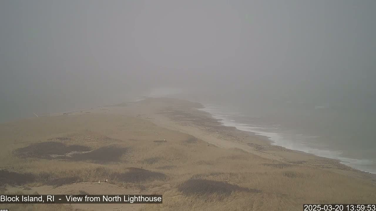 A foggy coastal scene shows a sandy beach and grassy dunes meeting a wavy ocean.