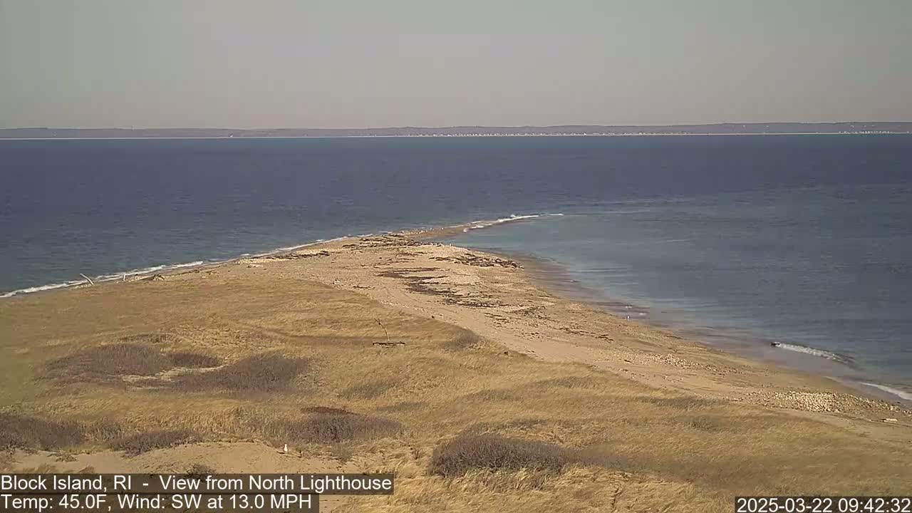 A sandy, grassy shoreline meets a calm, blue ocean under a clear sky.