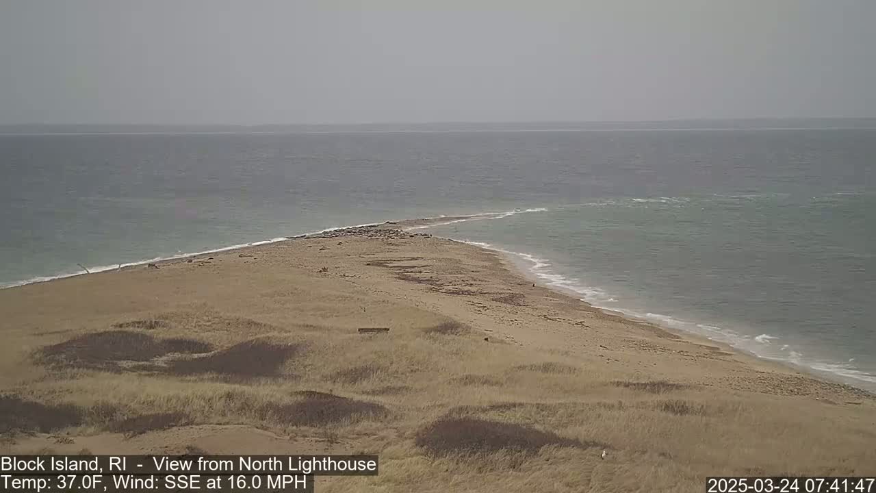 A sandy beach and grassy dunes meet a gray, choppy ocean under an overcast sky.