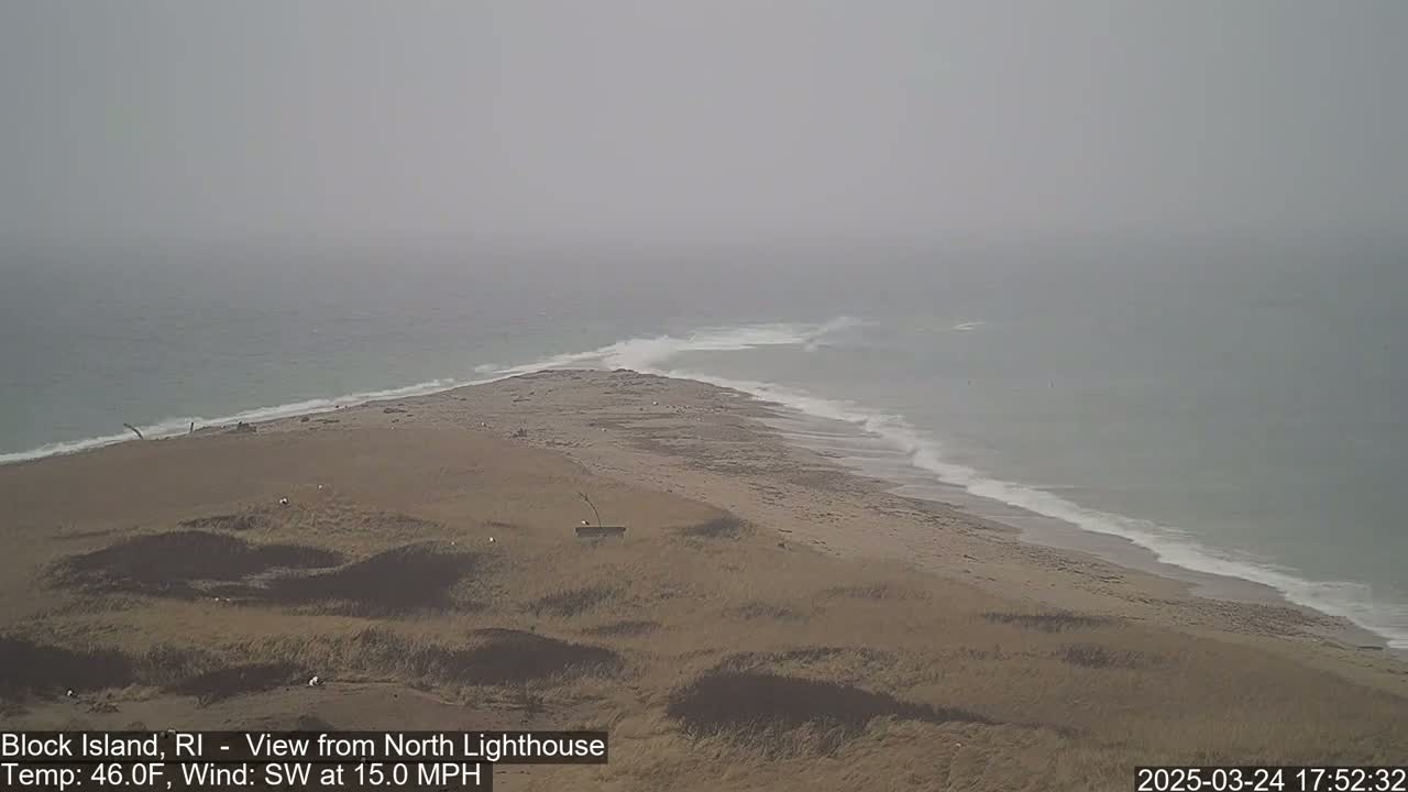 A hazy, sandy coastline with gentle waves meets a foggy ocean under a gray sky.