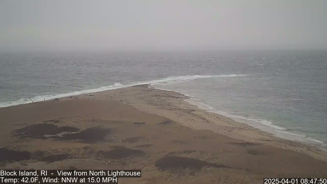 A sandy shoreline meets a gray, choppy ocean under an overcast sky.