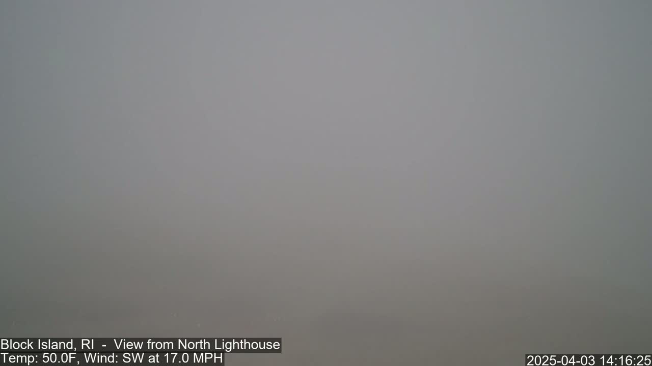 A very thick fog obscures all but the closest view.