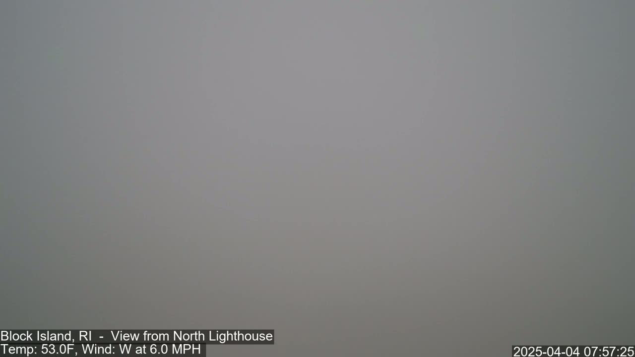 A uniformly gray, foggy scene is visible.